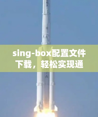 sing-box配置文件下载，轻松实现通信信号完整性
