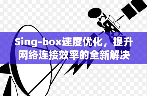 Sing-box速度优化，提升网络连接效率的全新解决方案