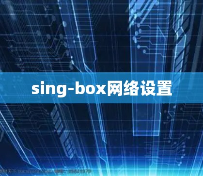 sing-box网络设置