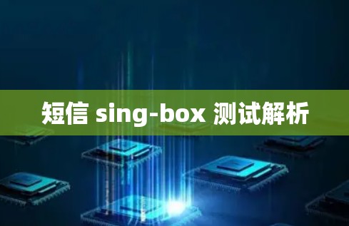 短信 sing-box 测试解析