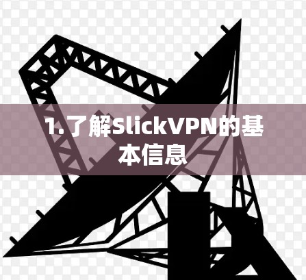 1.了解SlickVPN的基本信息