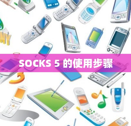 SOCKS 5 的使用步骤