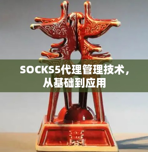 SOCKS5代理管理技术，从基础到应用
