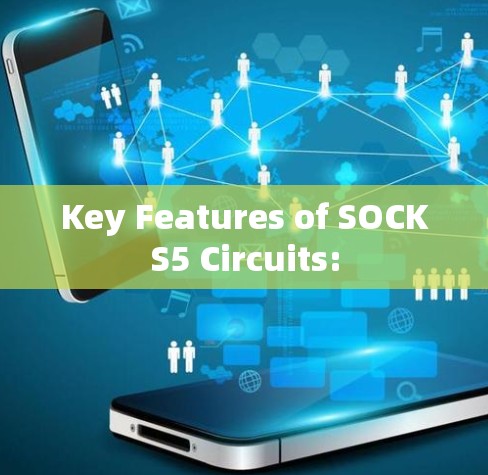 Key Features of SOCKS5 Circuits:
