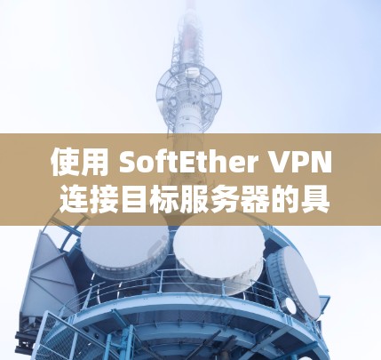 使用 SoftEther VPN 连接目标服务器的具体步骤如下