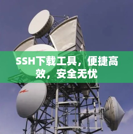 SSH下载工具，便捷高效，安全无忧