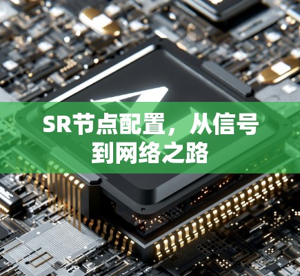 SR节点配置，从信号到网络之路