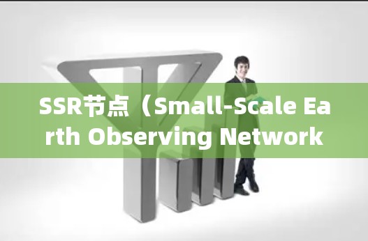 SSR节点（Small-Scale Earth Observing Network，SSR）是一种小型的传感器网络，用于监测和记录地球表面的变化。以下是关于SSR节点的详细信息