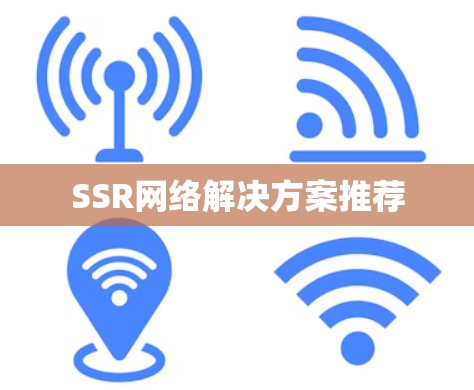 SSR网络解决方案推荐