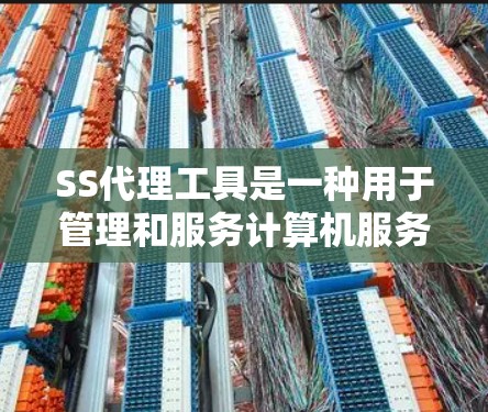 SS代理工具是一种用于管理和服务计算机服务的工具，帮助管理员处理服务请求，监控服务状态，优化资源分配并管理服务列表。以下是对SS代理工具的详细总结
