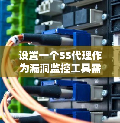 设置一个SS代理作为漏洞监控工具需要遵循以下步骤，确保安全和效果