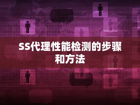 SS代理性能检测的步骤和方法