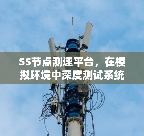 SS节点测速平台，在模拟环境中深度测试系统