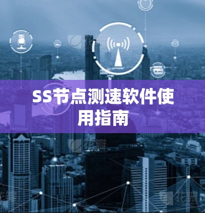 SS节点测速软件使用指南