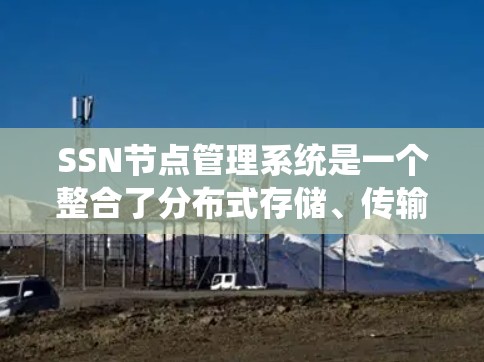 SSN节点管理系统是一个整合了分布式存储、传输、访问控制和安全功能的系统，主要用于存储和管理数据节点。以下是对该系统的详细总结