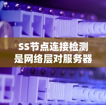 SS节点连接检测是网络层对服务器节点（SS节点）连接状态进行分析和管理的重要步骤。以下是对SS节点连接检测的详细总结和步骤