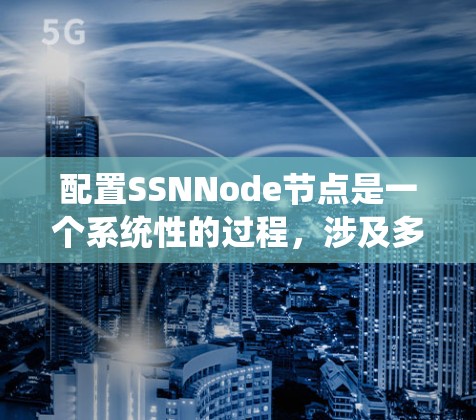 配置SSNNode节点是一个系统性的过程，涉及多个模块和步骤。以下是一个结构化的步骤指南，帮助您顺利完成配置
