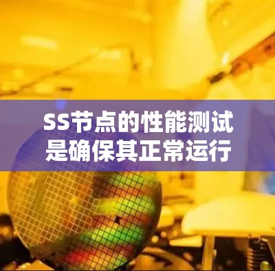 SS节点的性能测试是确保其正常运行和高效工作的关键步骤。以下是对SS节点速度检测的详细分析，涵盖测试类型、方法、工具和步骤