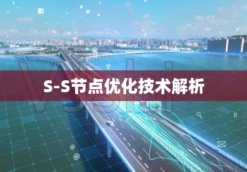 S-S节点优化技术解析