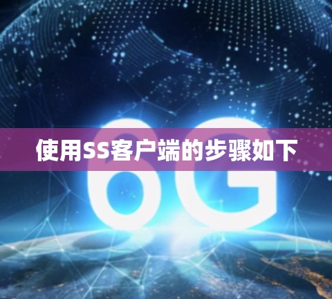 使用SS客户端的步骤如下