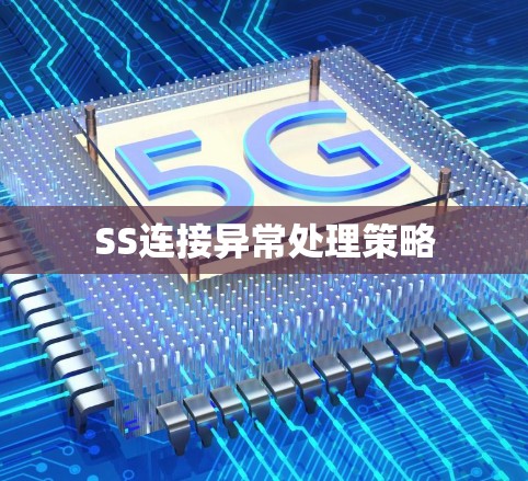SS连接异常处理策略