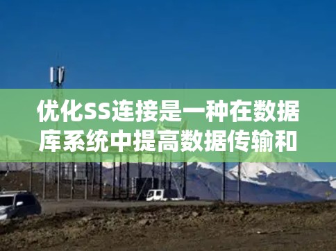 优化SS连接是一种在数据库系统中提高数据传输和访问效率、安全性以及可靠性的方法。以下是对SS连接优化方案的详细总结