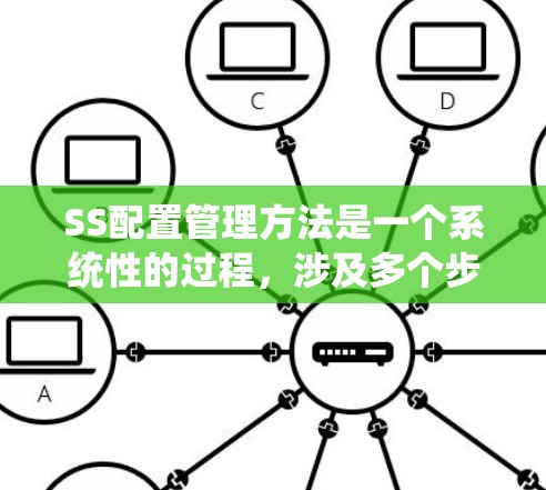SS配置管理方法是一个系统性的过程，涉及多个步骤和工具，旨在配置和管理软件服务。以下是对SS配置管理方法的详细步骤总结