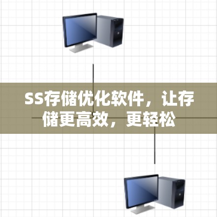 SS存储优化软件，让存储更高效，更轻松