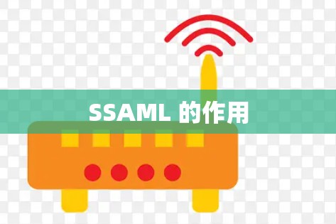 SSAML 的作用