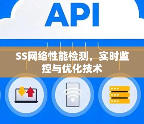 SS网络性能检测，实时监控与优化技术
