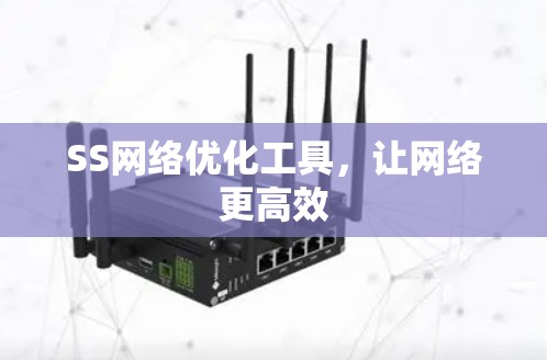 SS网络优化工具,让网络更高效 SS网络优化工具,让网络更高效