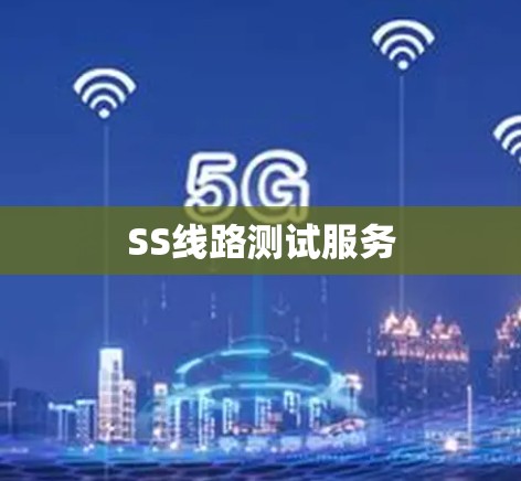 SS线路测试服务