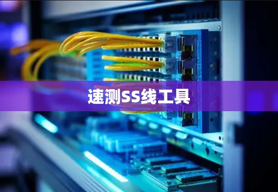 速测SS线工具