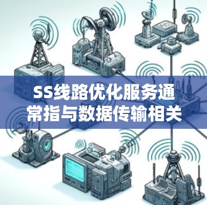 SS线路优化服务通常指与数据传输相关的优化服务,具体含义可能因上下文而异。以下是一些可能的解释和应用 SS线路优化服务通常指与数据传输相关的优化服务,具体含义可能因上下文而异。以下是一些可能的解释和应用