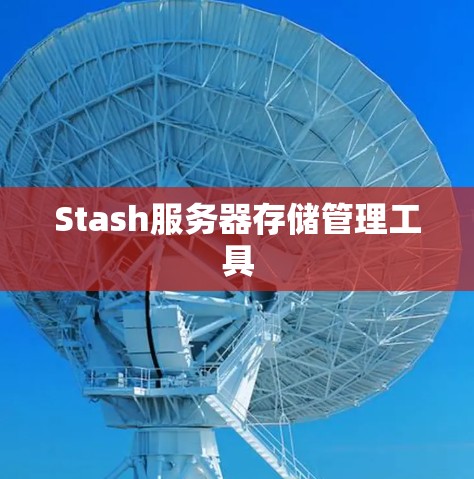 Stash服务器存储管理工具 Stash服务器存储管理工具