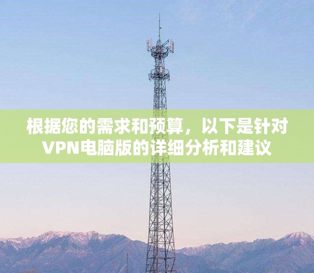 根据您的需求和预算，以下是针对VPN电脑版的详细分析和建议