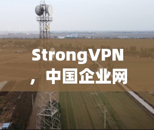 StrongVPN,中国企业网络防护技术的创新实践 StrongVPN,中国企业网络防护技术的创新实践