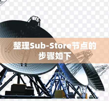 整理Sub-Store节点的步骤如下