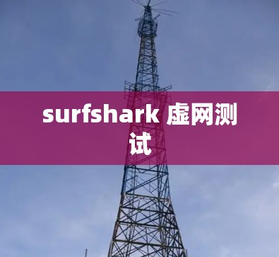 surfshark 虚网测试