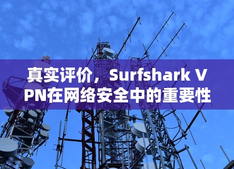 真实评价,Surfshark VPN在网络安全中的重要性 真实评价,Surfshark VPN在网络安全中的重要性