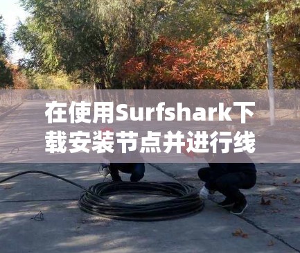 在使用Surfshark下载安装节点并进行线路优化时,以下是一个系统化的指南 在使用Surfshark下载安装节点并进行线路优化时,以下是一个系统化的指南