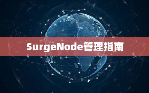 SurgeNode管理指南
