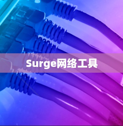 Surge网络工具