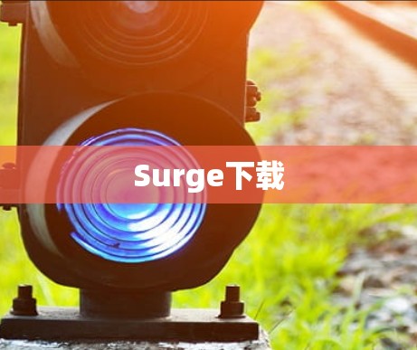 Surge下载