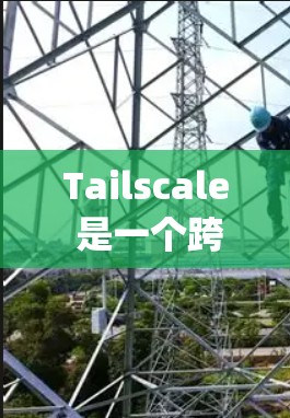 Tailscale 是一个跨平台的节点管理工具,广泛应用于 Node.js、Python 和 Java 等编程语言的项目中。以下是详细的节点管理指南 Tailscale 是一个跨平台的节点管理工具,广泛应用于 Node.js、Python 和 Java 等编程语言的项目中。以下是详细的节点管理指南