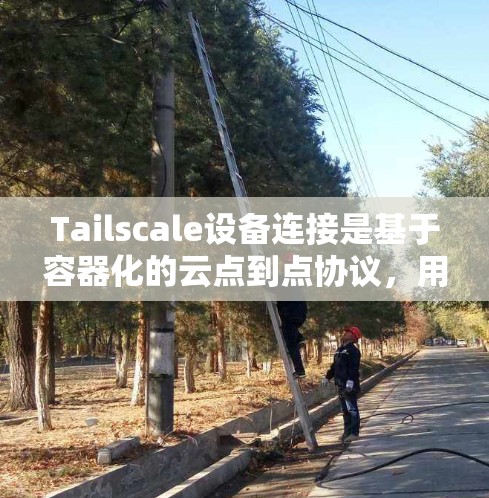 Tailscale设备连接是基于容器化的云点到点协议，用于跨平台和跨组织的通信。以下是关于Tailscale设备连接的详细指南