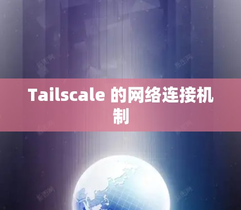 Tailscale 的网络连接机制 Tailscale 的网络连接机制