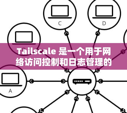 Tailscale 是一个用于网络访问控制和日志管理的框架，主要用于在大规模网络中提升访问控制和日志管理的效率。以下是一个详细的网络配置指南，帮助你设置并配置Tailscale
