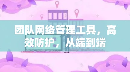 团队网络管理工具，高效防护，从端到端