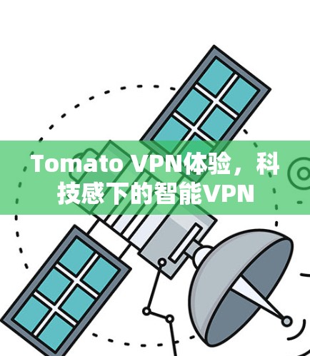 Tomato VPN体验，科技感下的智能VPN
